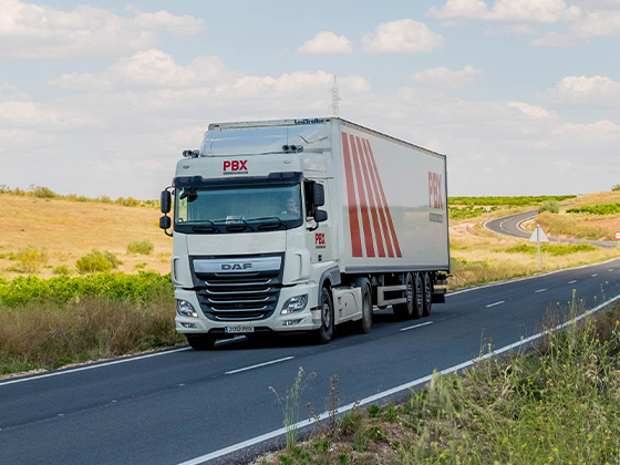 Transporte Urgente en Burgos-Transportes Nuñex Movilla-Palibex-02