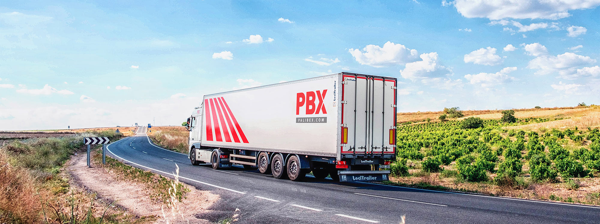 pallet logistics in Spain - palibex - 0111