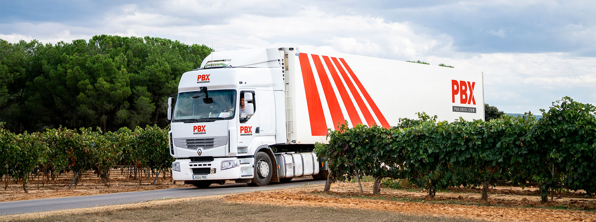 Spanish wine logistics services - pallet transport - palibex