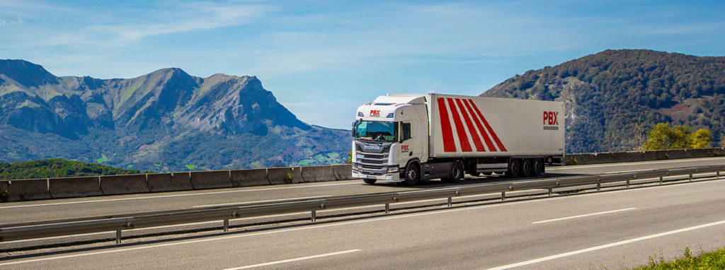 european pallet transport partnerships pallet-logistics spain - palibex